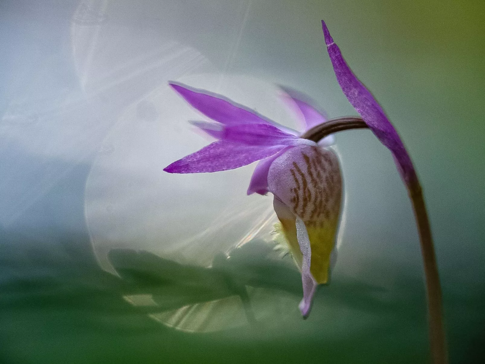 Jussis chalet a-Binnen