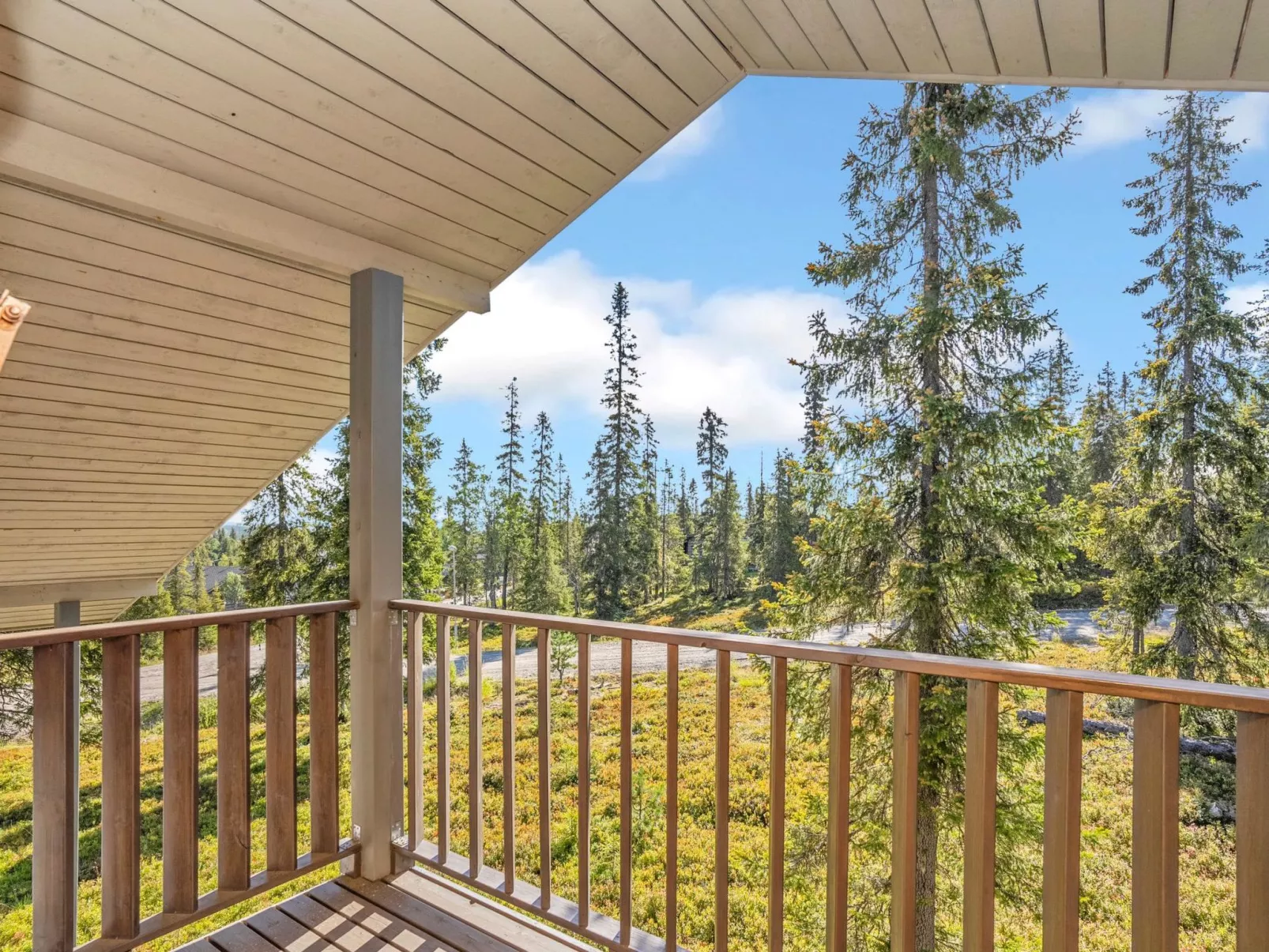 Kinostupa 1a (2)-Binnen