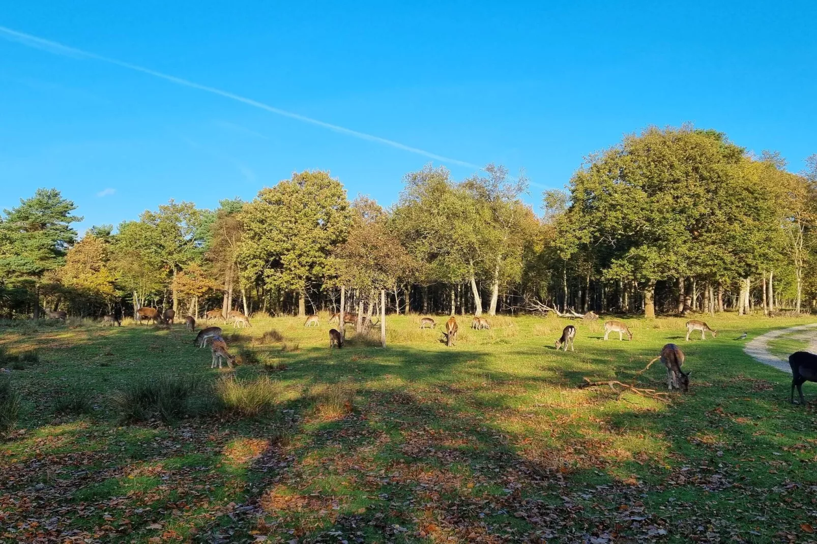 5 sterren vakantie huis in Bogense-Niet-getagd