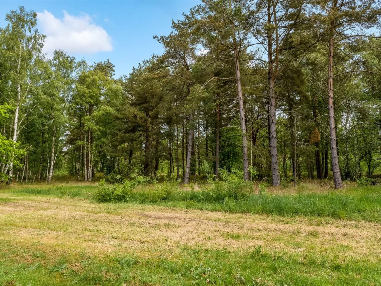 "Bæver" - 1km from the sea-Buiten