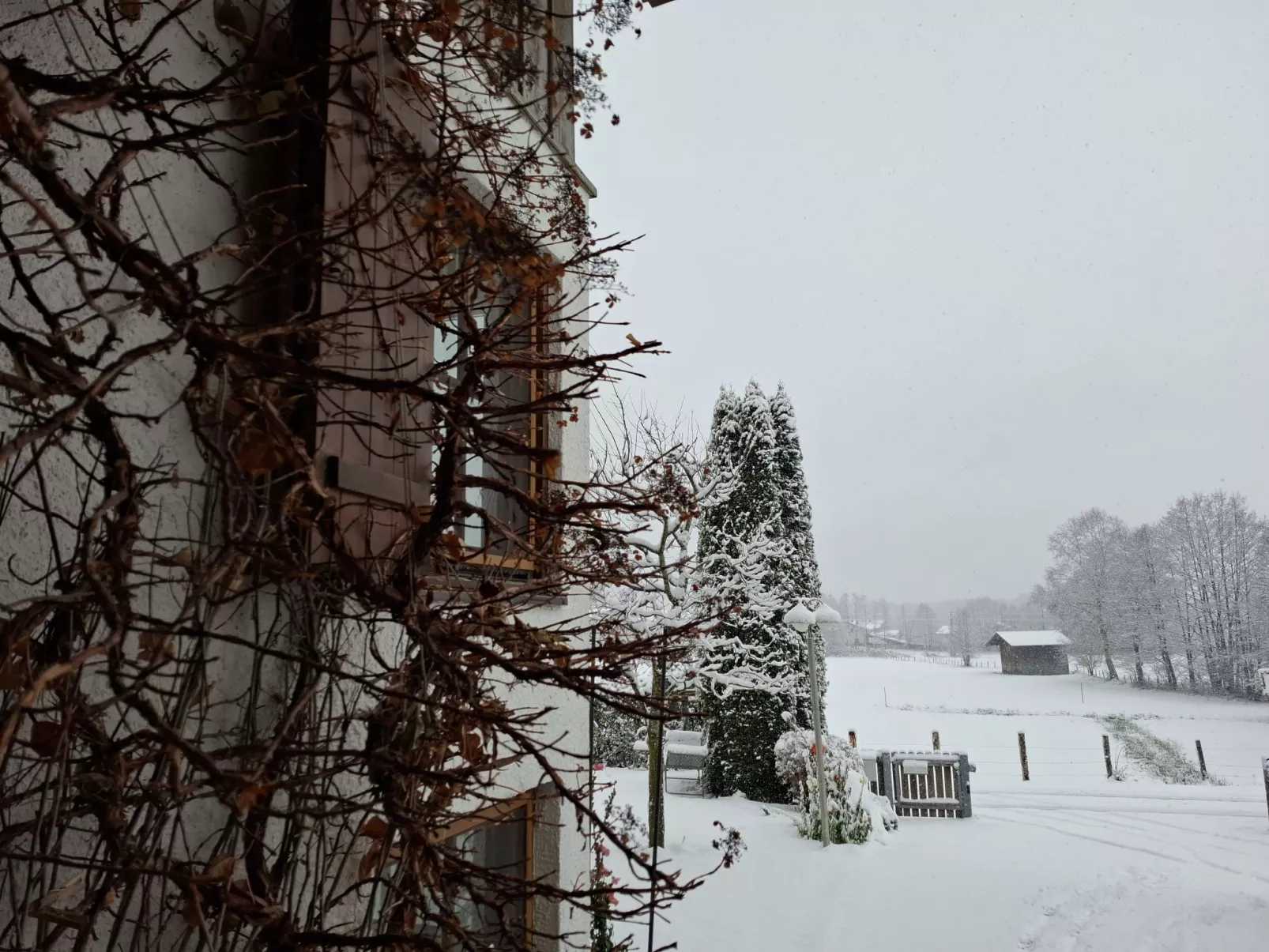 Martinsklause-Binnen