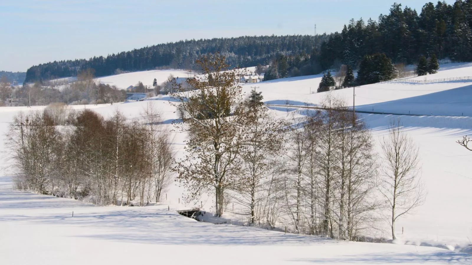 Alte Muehle-Gebied winter 5km
