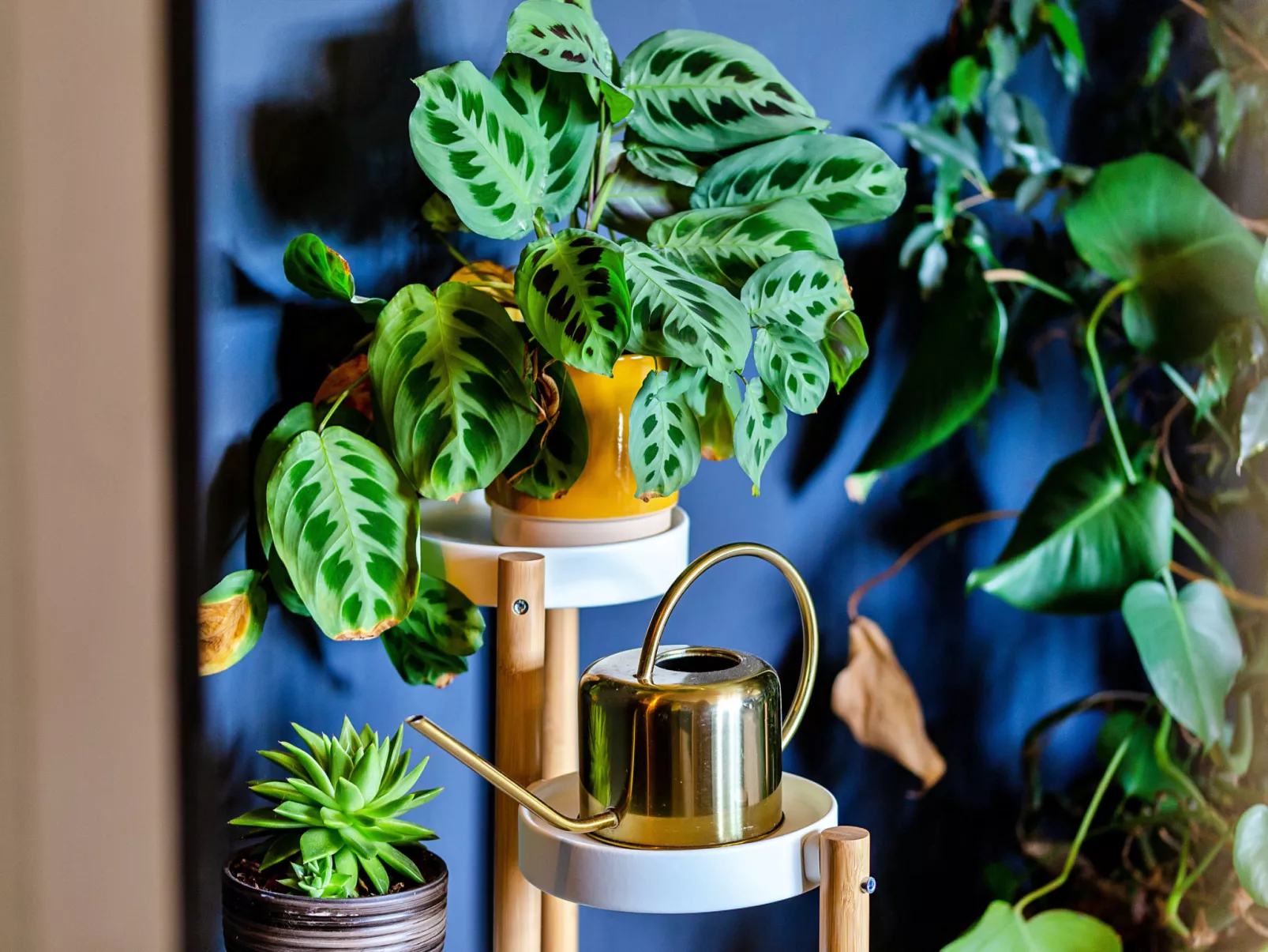 Cresswell House-Binnen