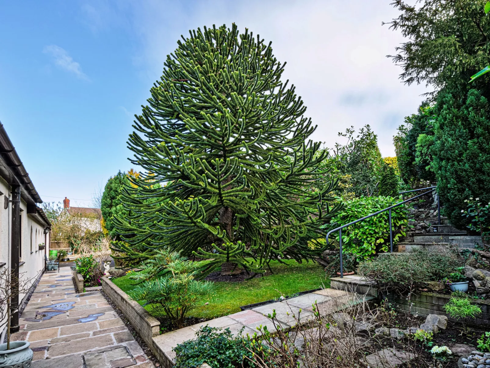 Cesail Y Mynydd-Buiten