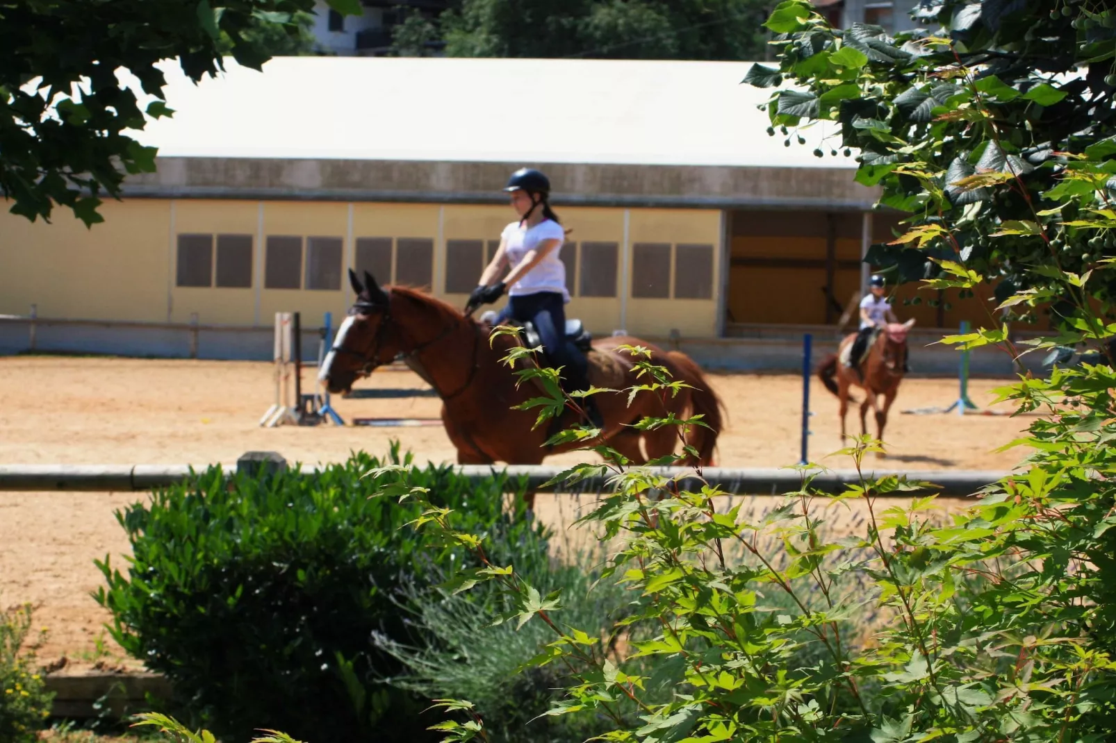 Zevnik Quiet Retreat with Stunning Views and Equestrian Activities - Family Room with Private Bathroom 8-Buitenlucht