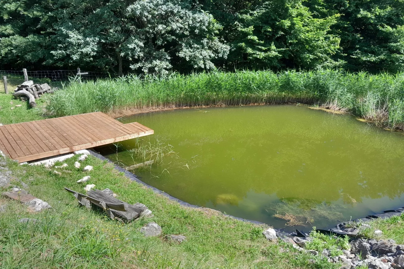 Hidden Authentic Haven Apartments - Two Bedroom Apartment with Balcony-Buitenlucht