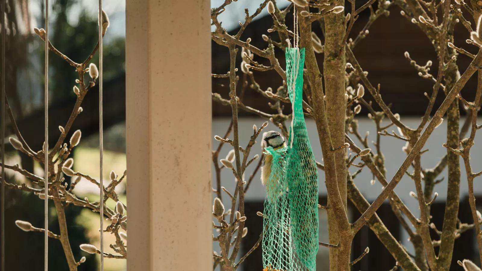 Im Bayerischen Wald-Sfeer