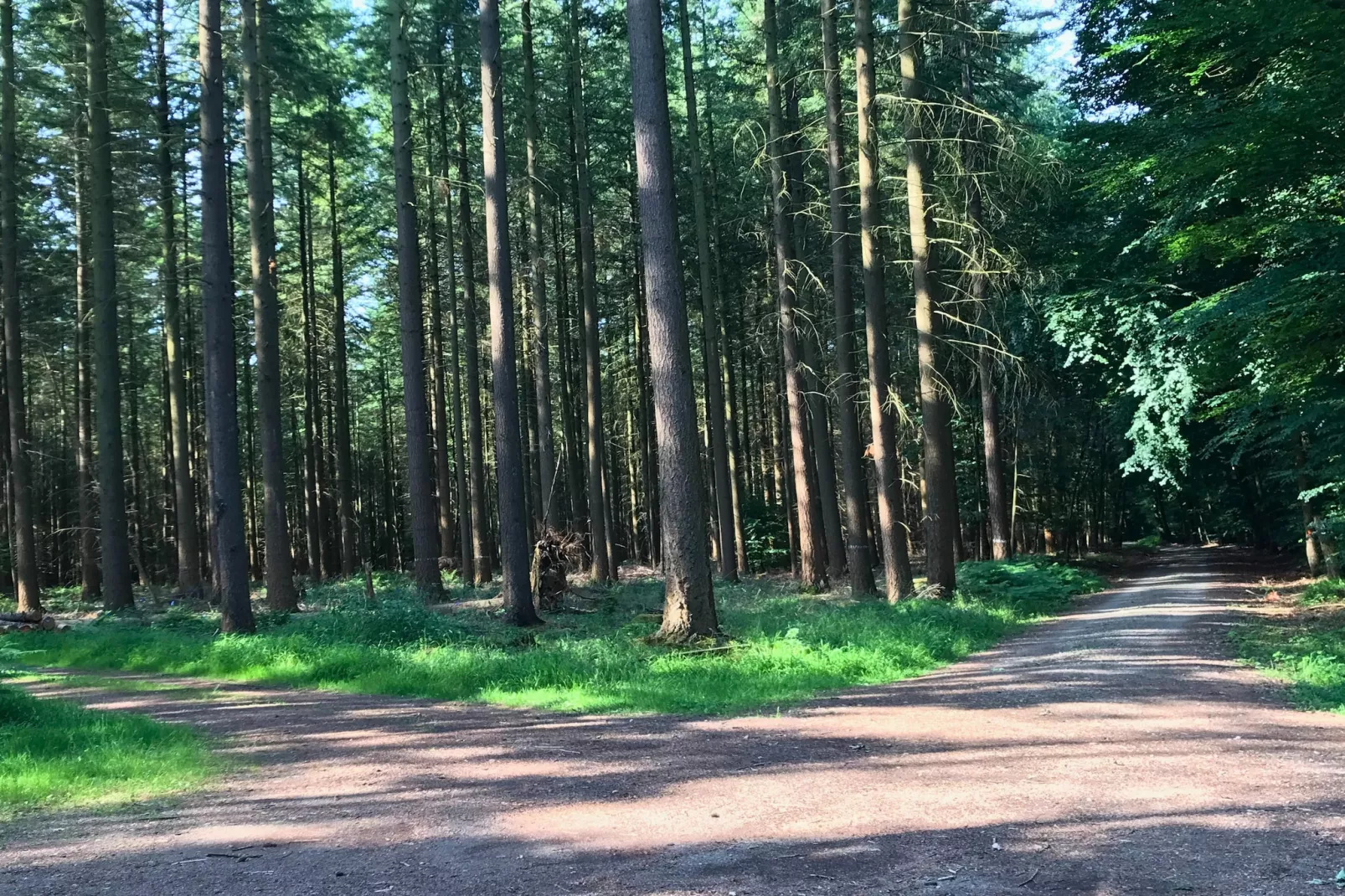 Gästezimmer Eifelglück-Gebieden zomer 5km