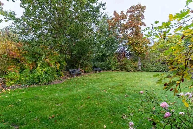 Hacks Hus-Tuinen zomer