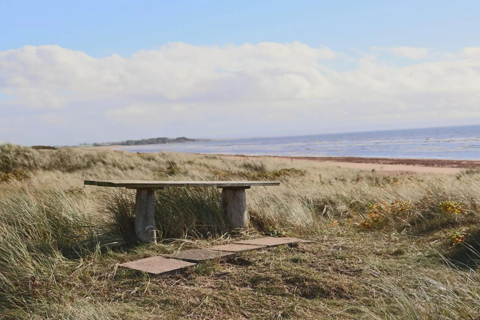 4 sterren vakantie huis in HALMSTAD-Niet-getagd