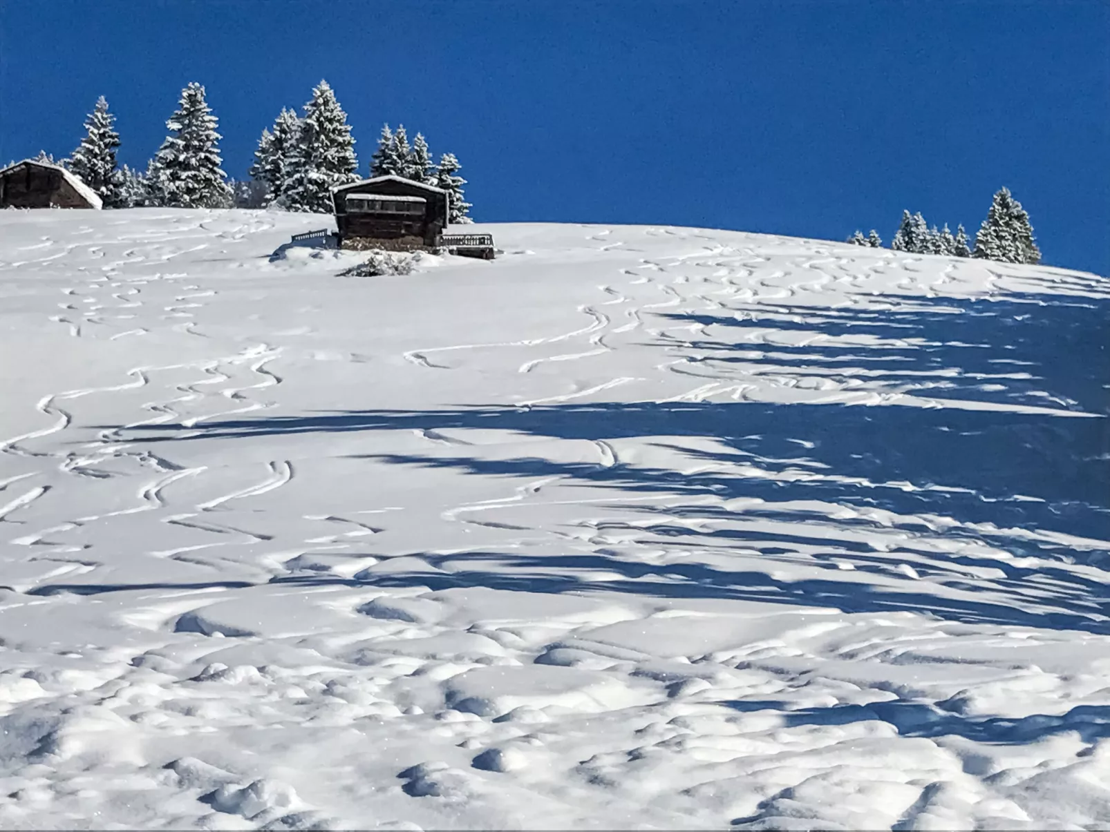 Almchalet Zillertal-Buiten