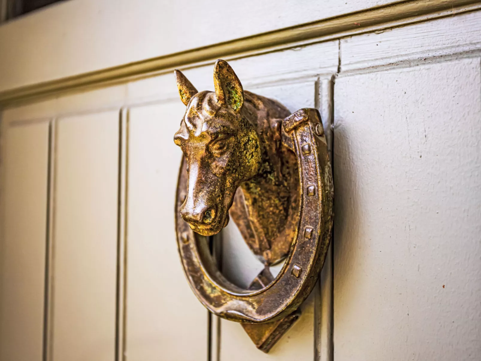 Les Jonquilles-Buiten