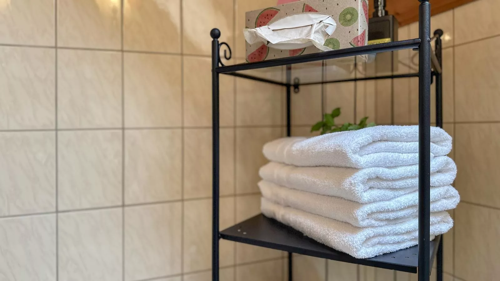 Weiherblasch II-Badkamer