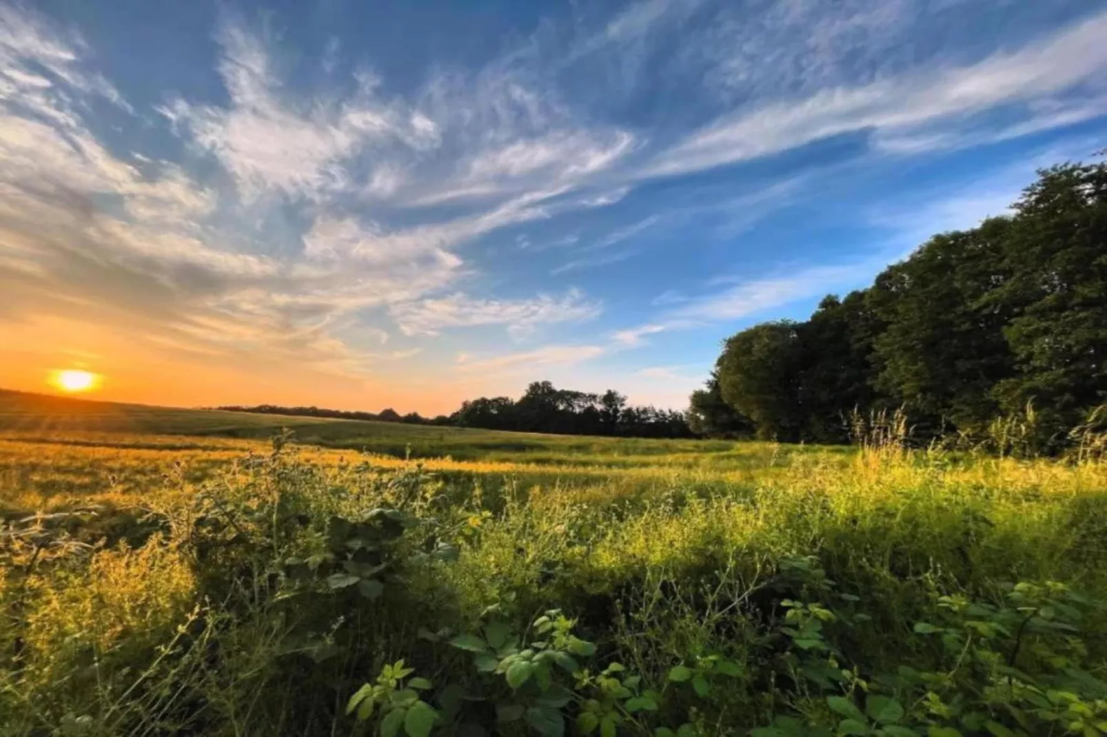 Hausboot in Ribnitz-Damgarten-Gebieden zomer 20km