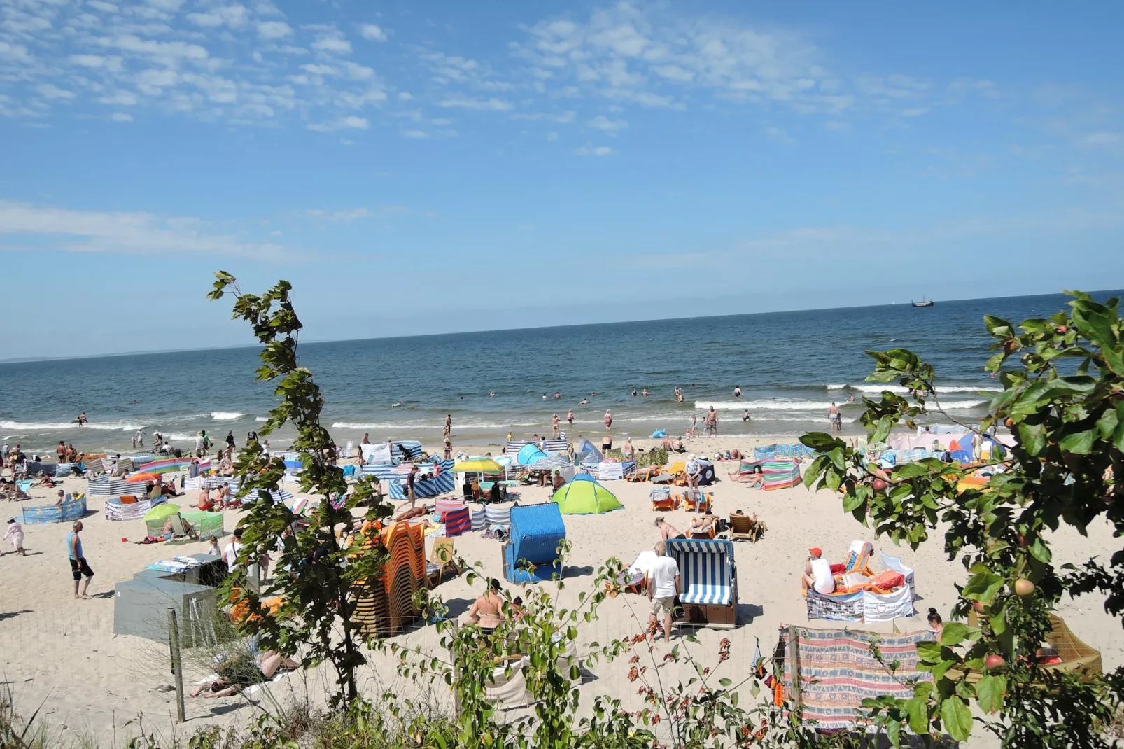 Green Hill Domysłów-Gebieden zomer 5km