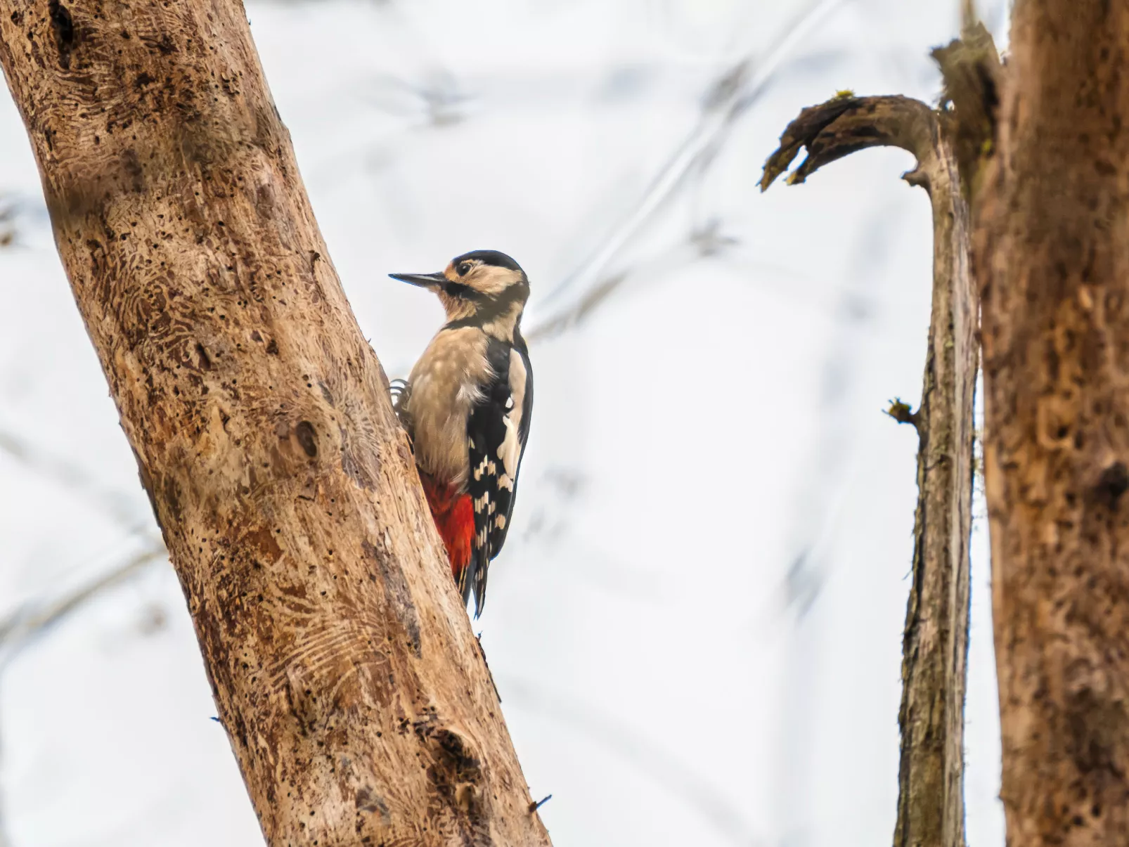 Bunloit Farmhouse-Omgeving