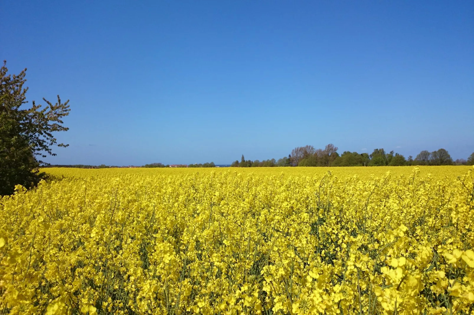 Zum Breitling-Gebieden zomer 5km