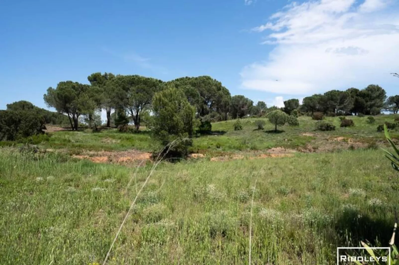 Spacieuse Villa Au C&oelig;ur Du Golf De B&eacute;ziers-Niet-getagd