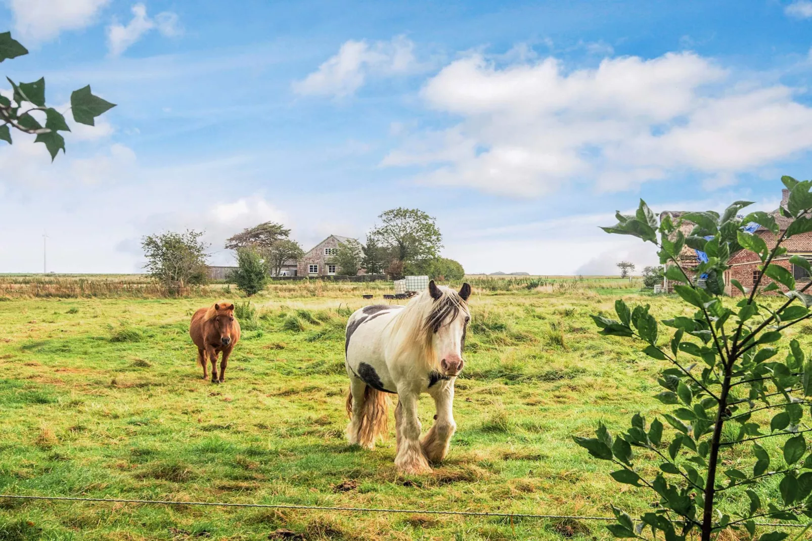 4 persoons vakantie huis in Tønder-Uitzicht