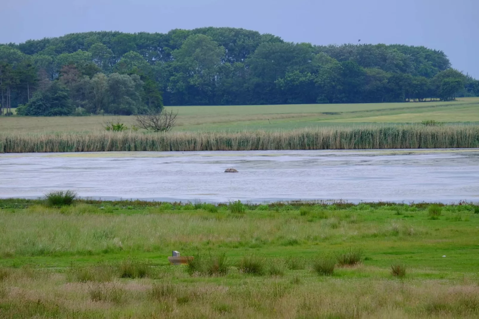 Rustige Sauna-oase -- By Traum Ferienwohnungen-Waterzicht