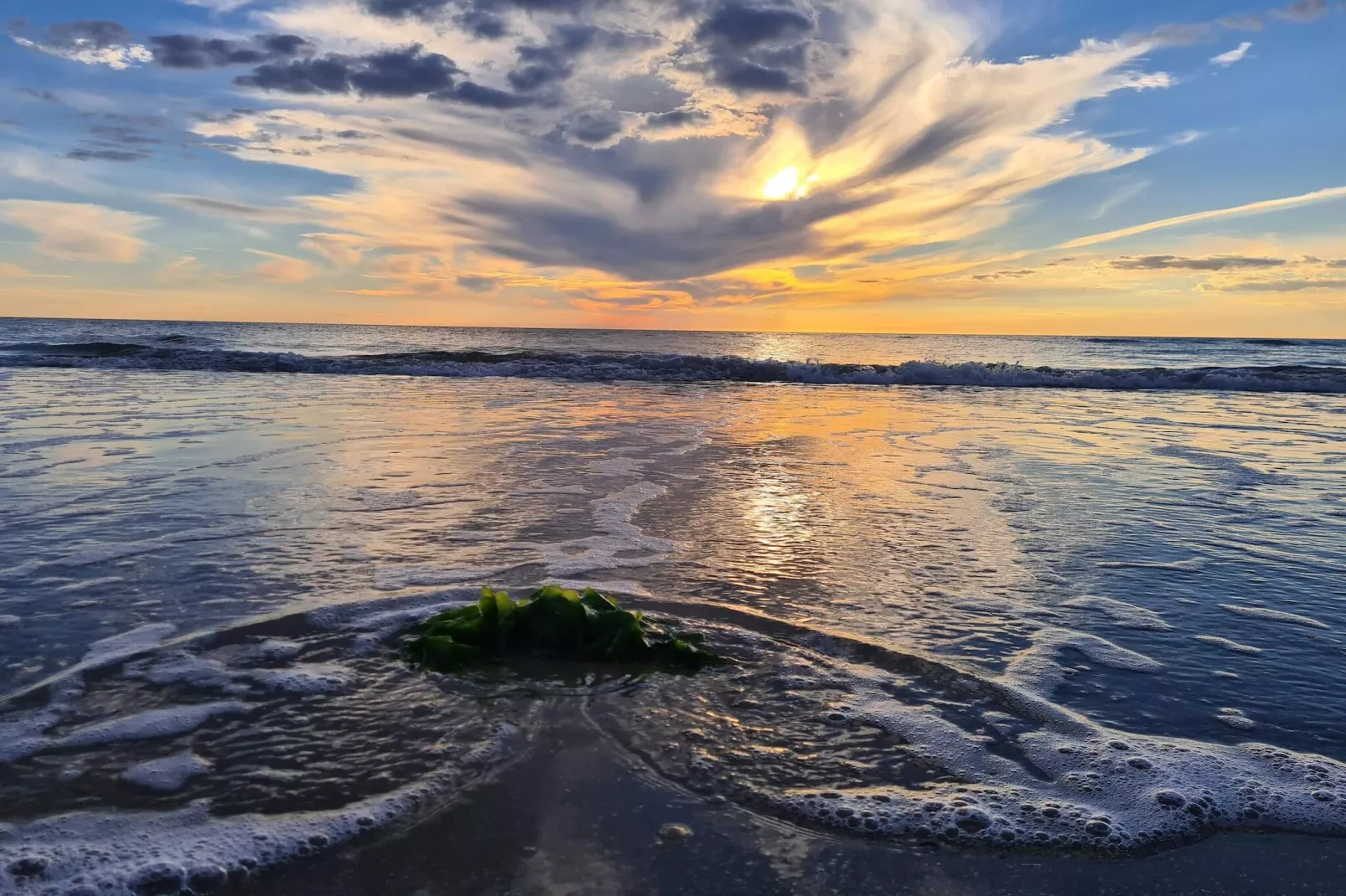 4 persoons vakantie huis in Rømø-By Traum-Waterzicht