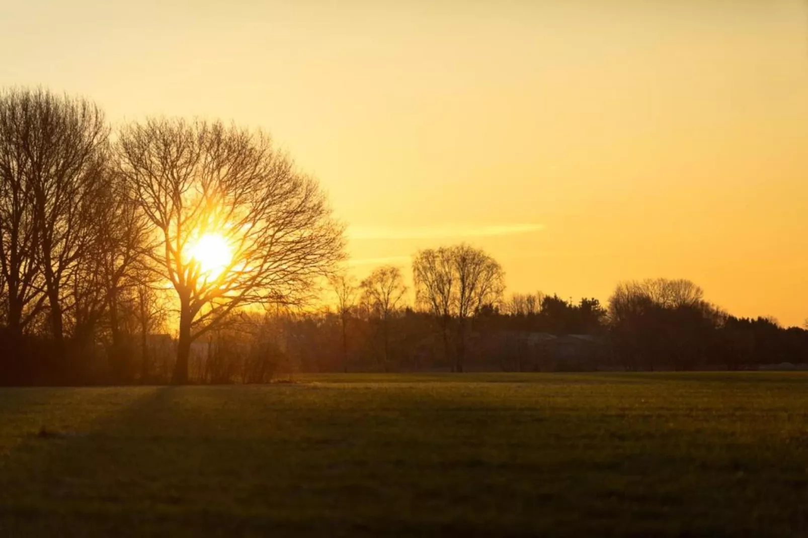 Vakantiepark Molenvelden 6-Gebieden zomer 20km