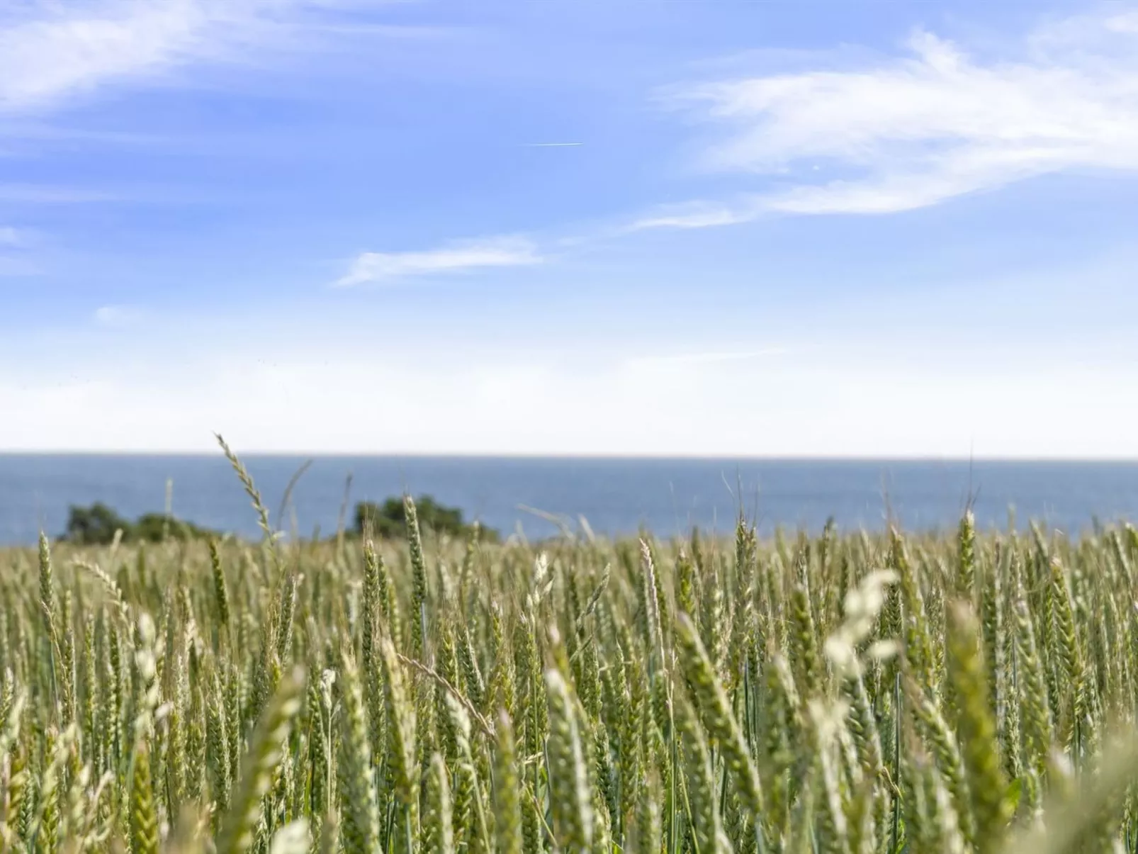 "Steffi" - 300m from the sea-Buiten