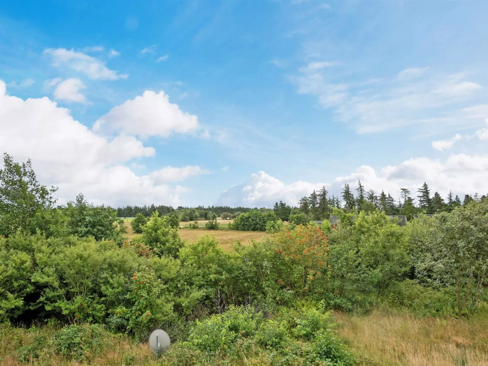 "Thorben" - 3.5km from the sea-Buiten