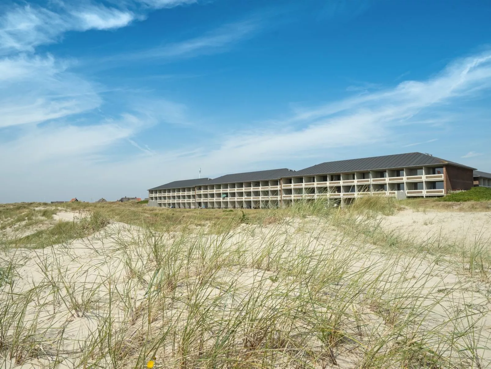 "Rieterik" - 50m from the sea-Buiten