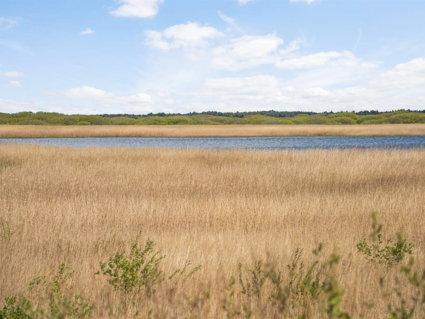 "Hermandine" - 700m from the sea-Buiten