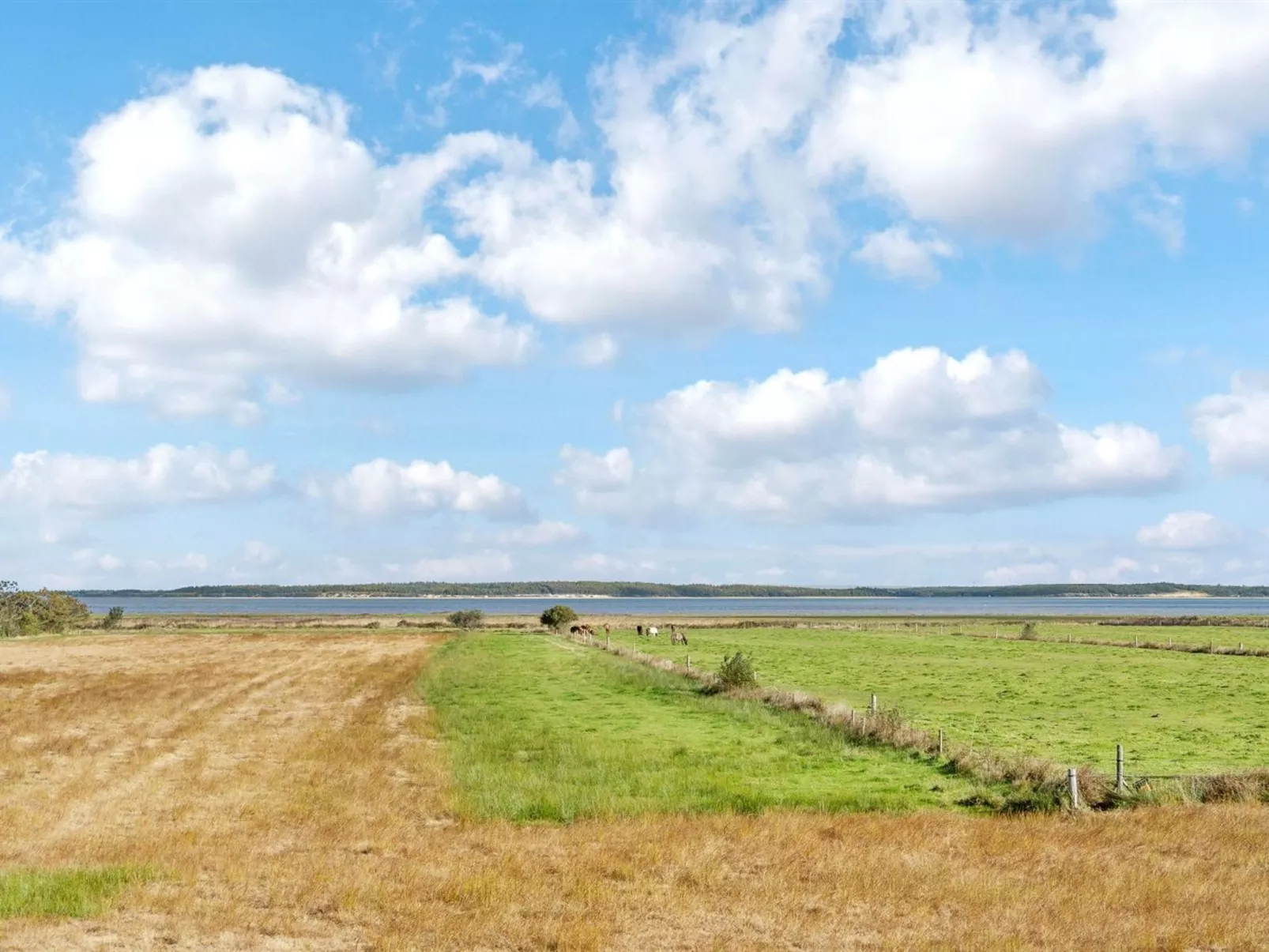 "Aswaldi" - 3.5km from the sea-Buiten