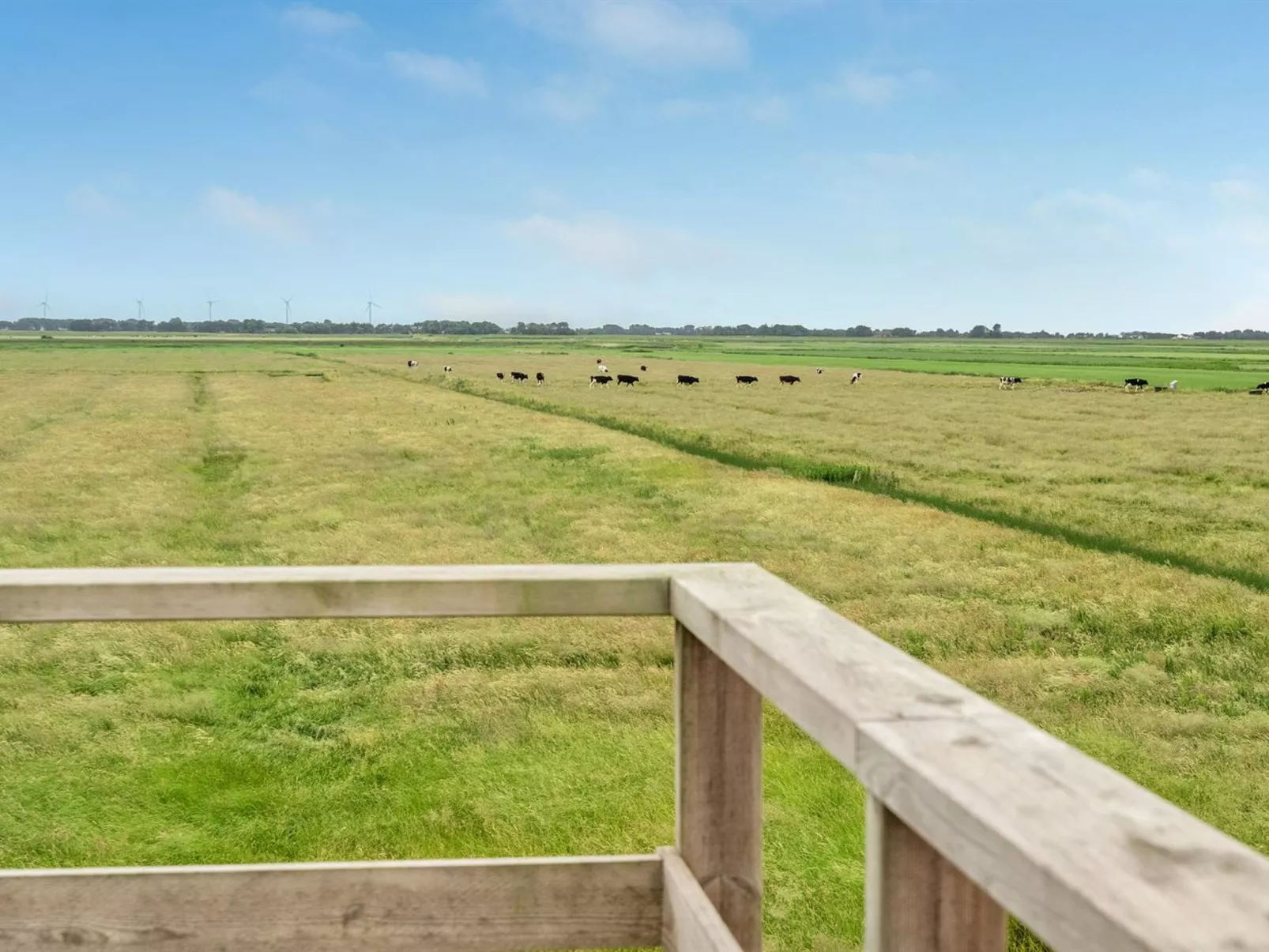 "Ammy" - 7.5km from the sea-Buiten