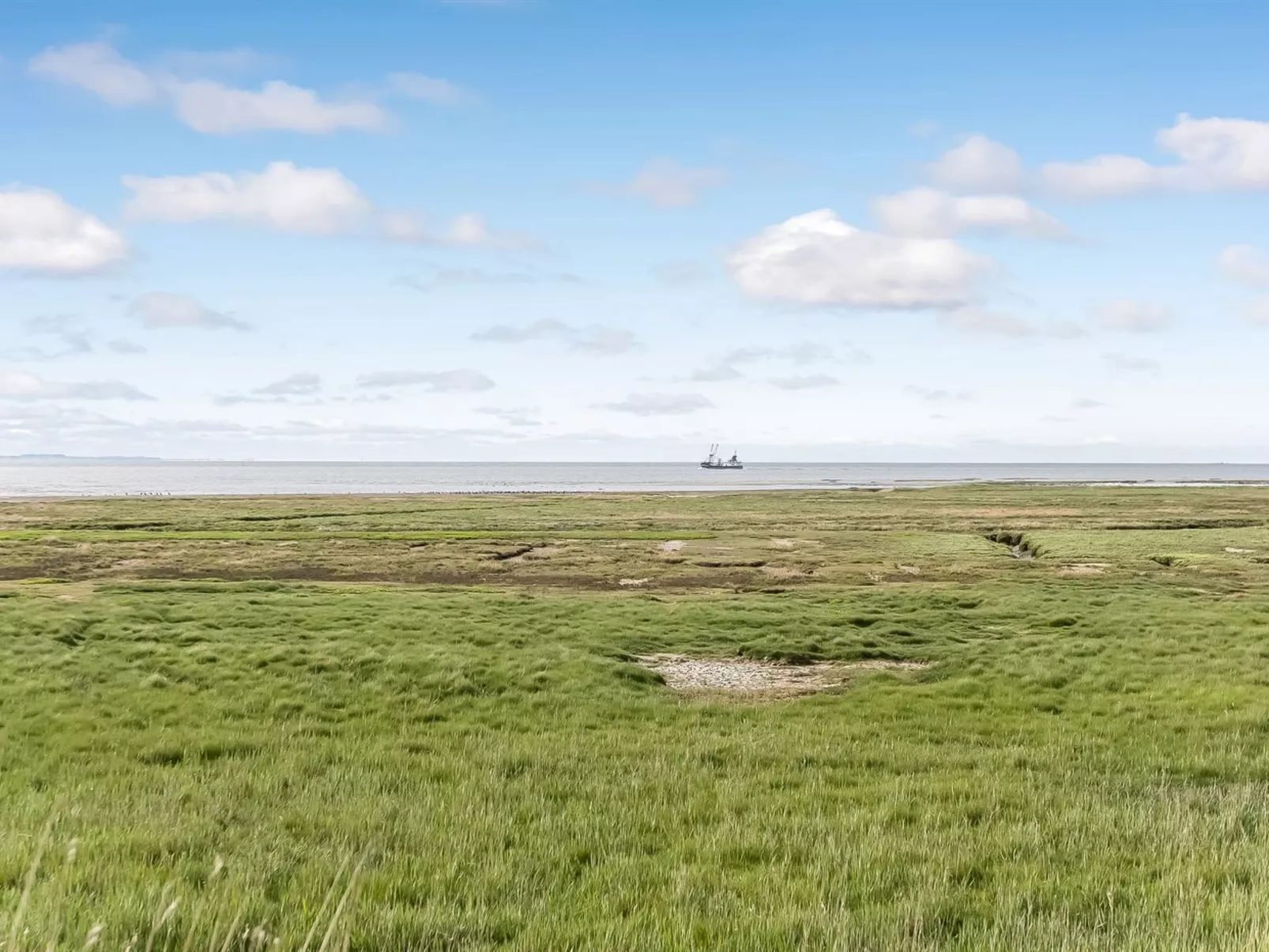 "Rohan" - 2.2km from the sea-Buiten