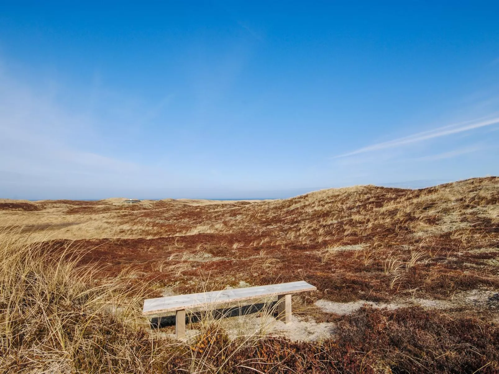 "Hilmer" - 250m from the sea-Buiten