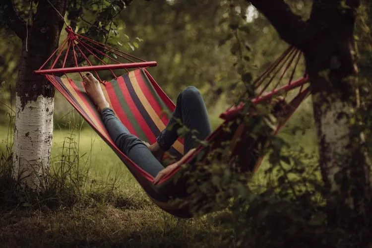 Dom wakacyjny dla 5 osób w Przewozie-Tuinen zomer