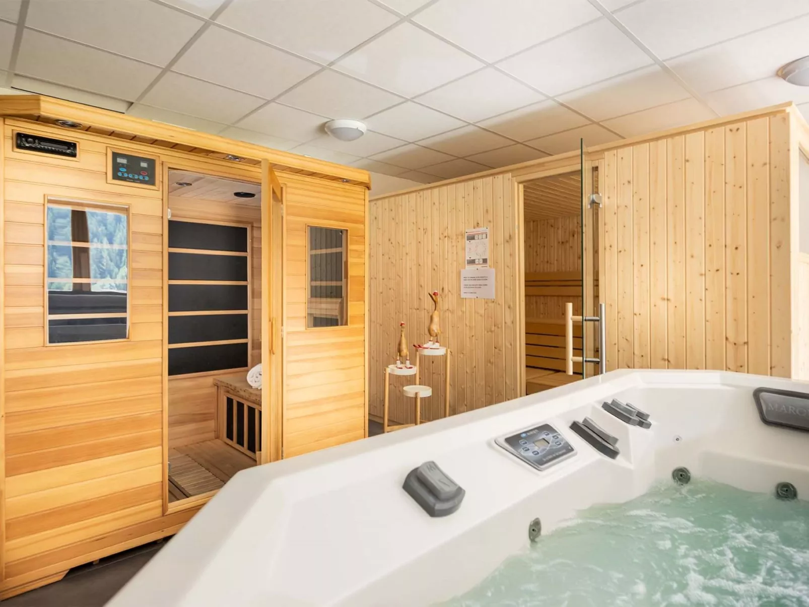 Chalets Les Amis-Binnen