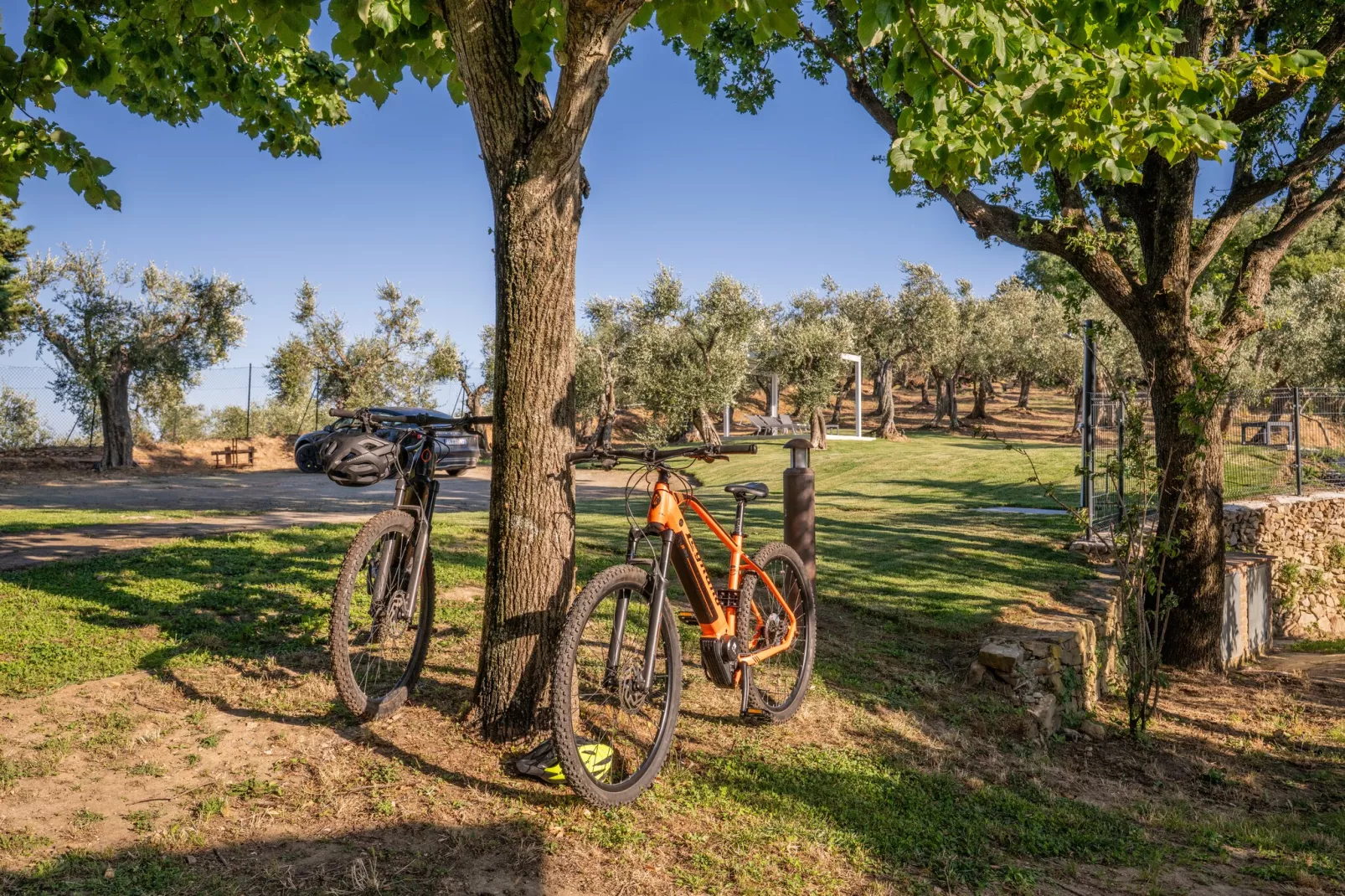Tenuta del Serra-Tuin winter