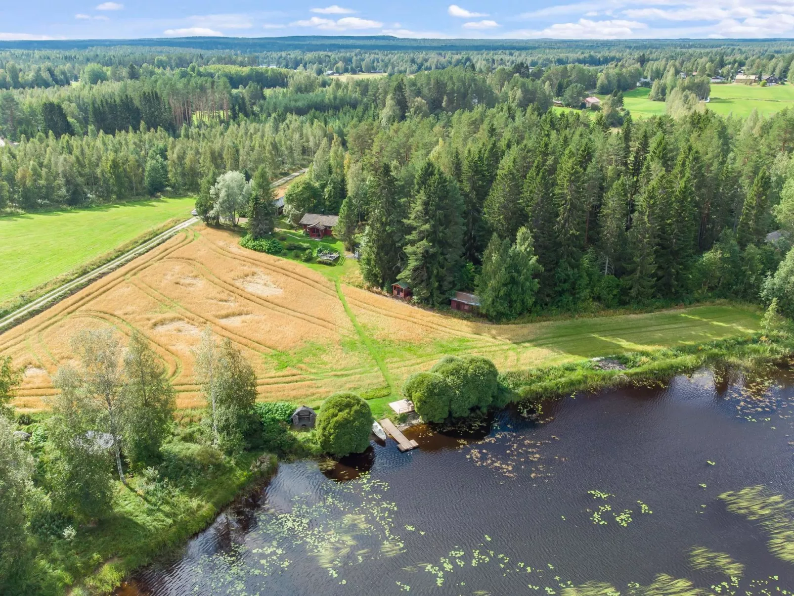 Petäjäniemi-Binnen