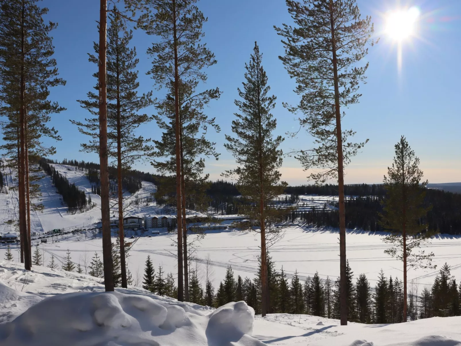 Pieni kiiruna-Binnen