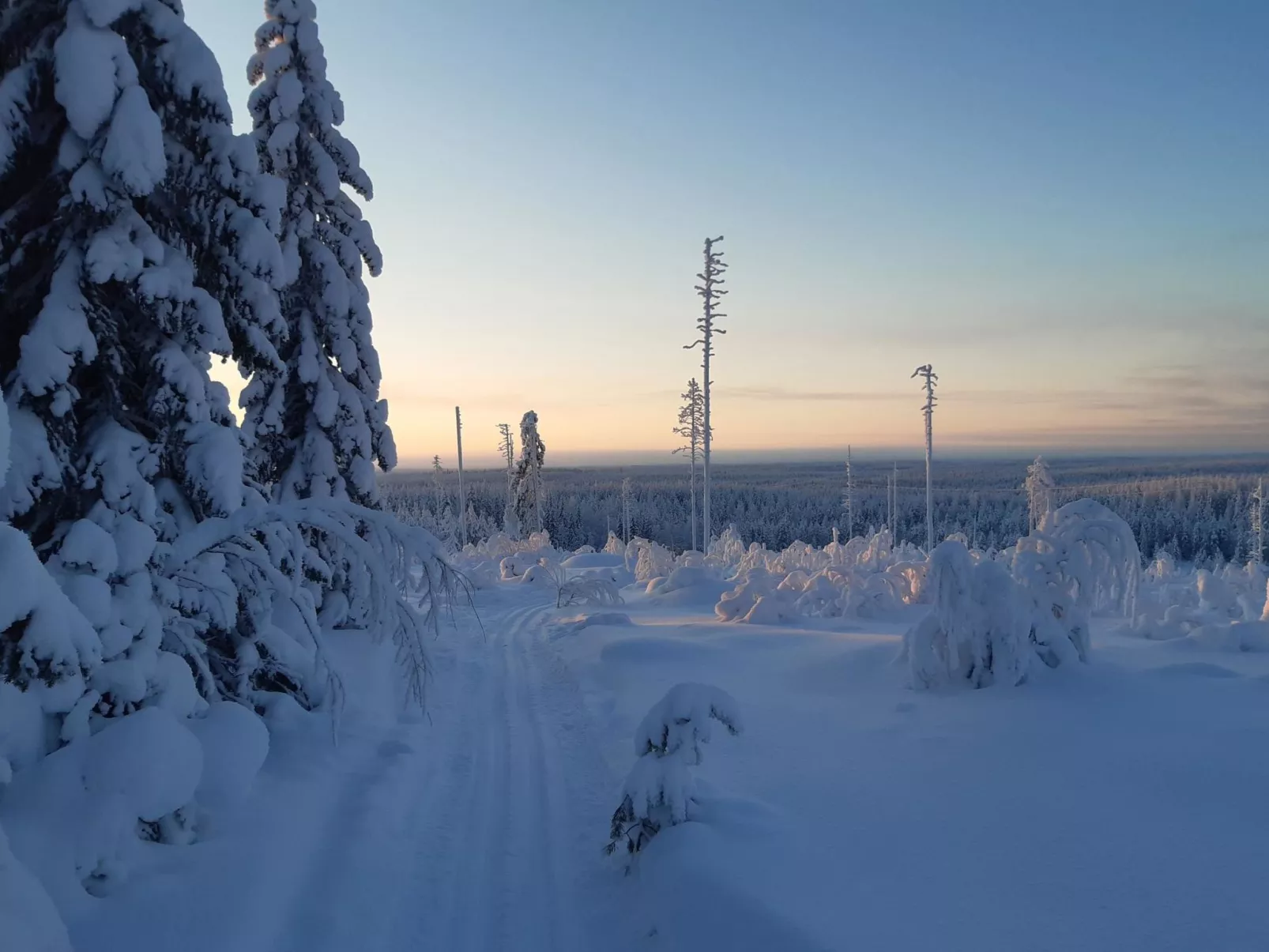 Backcountry base-Binnen