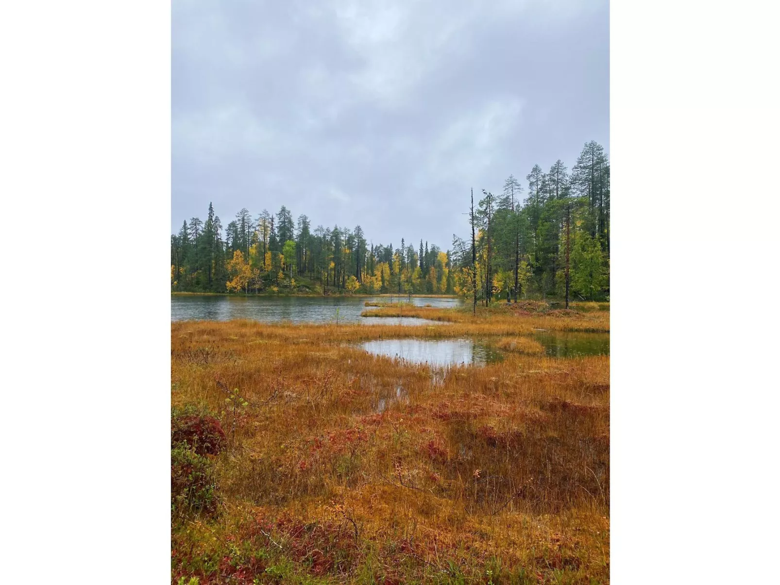 Sallan lumous a-Binnen