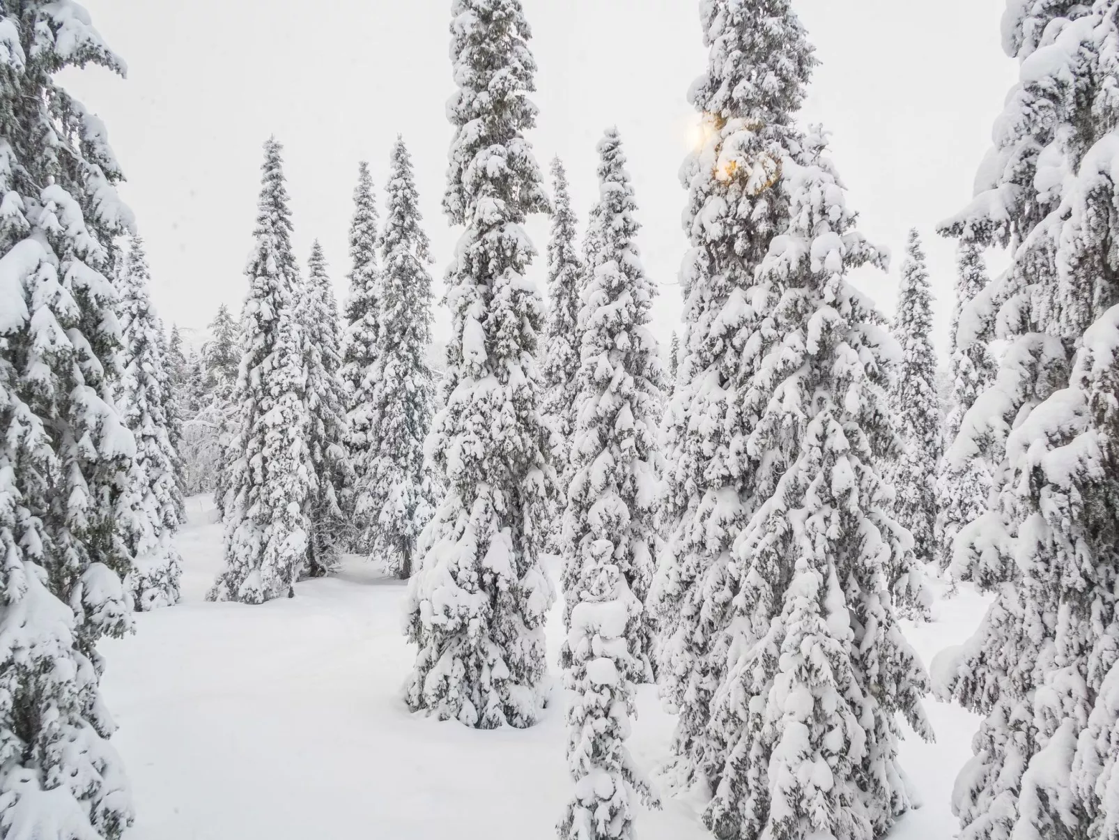 Rukan lepolinna a-Binnen