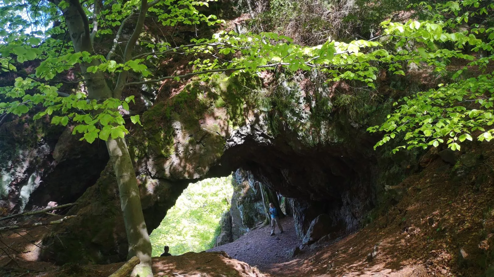 Am Sandberg-Gebieden zomer 5km