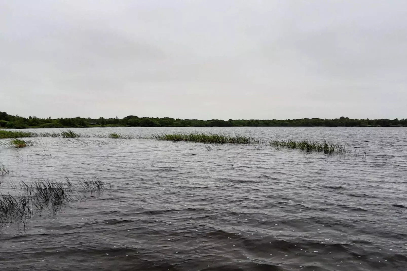 5 sterren vakantie huis in Ansager-Waterzicht