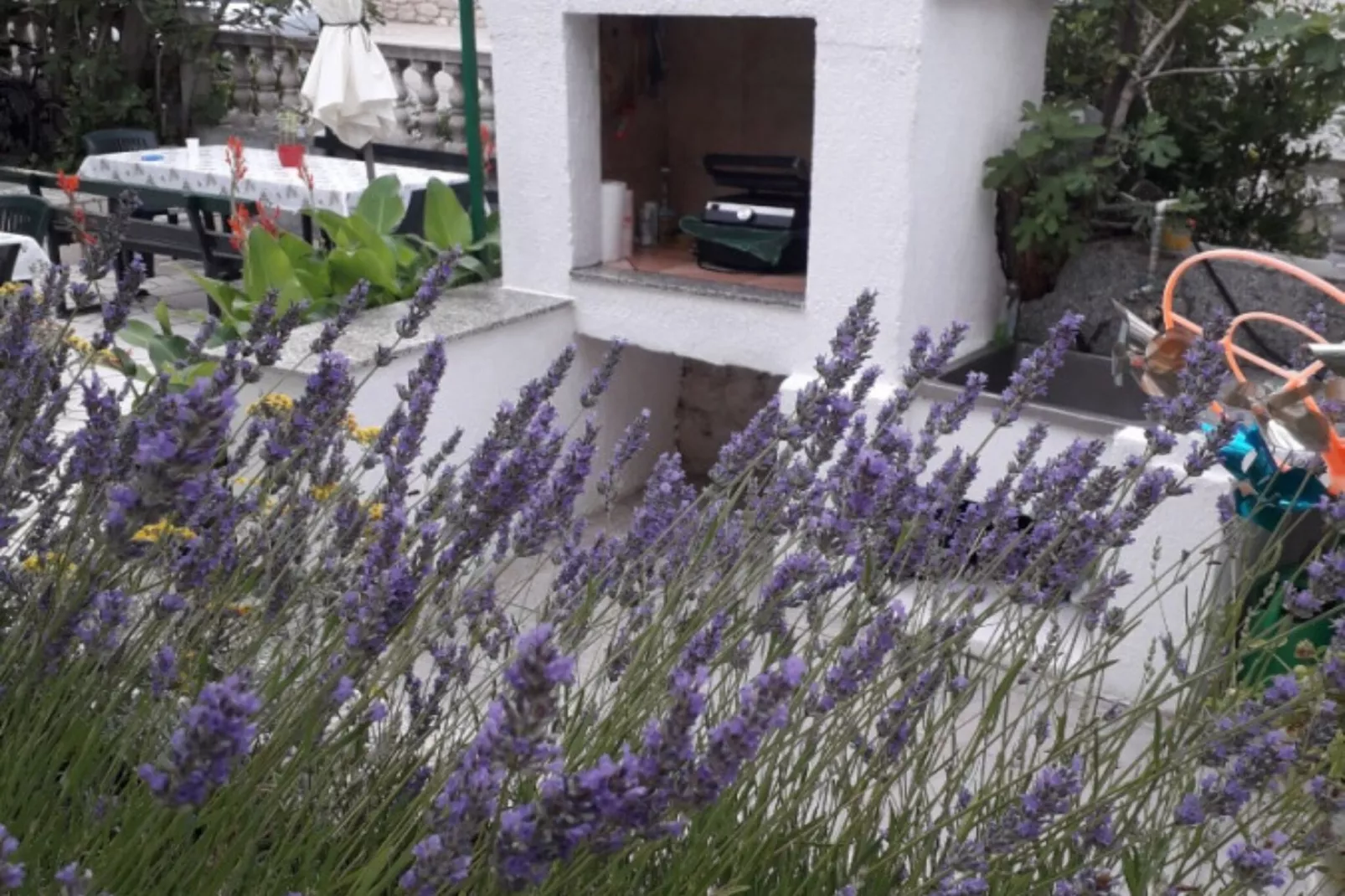 Apartment Daisy-Buitenlucht