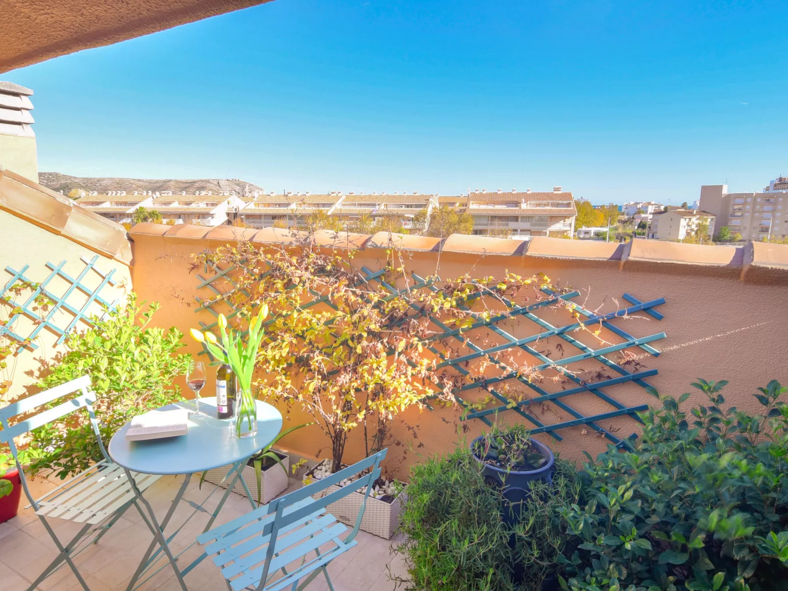 Moreras del Saladar-Buiten