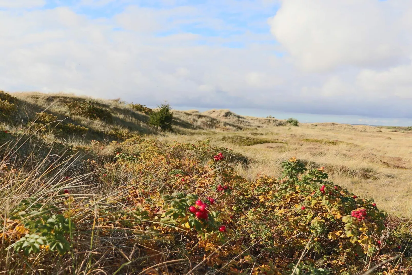 4 sterren vakantie huis in HALMSTAD-Niet-getagd