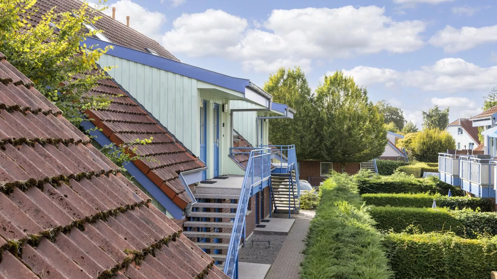 Papillon 11-5-Buitenkant zomer