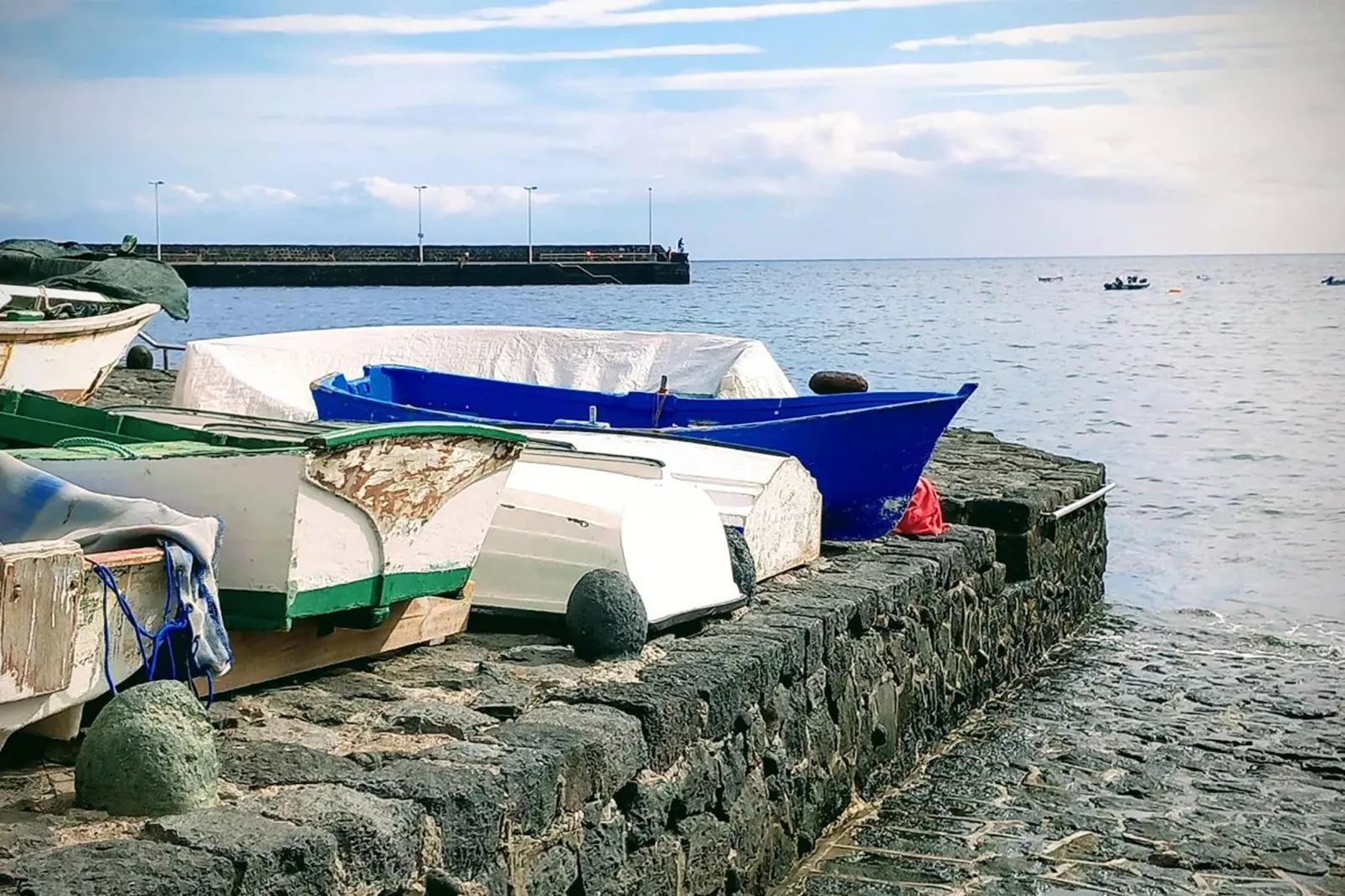 Delfin 101-Gebieden zomer 5km