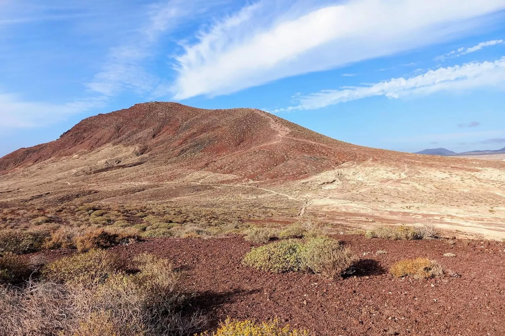 Delfin 101A Jardin Privado-Gebieden zomer 20km